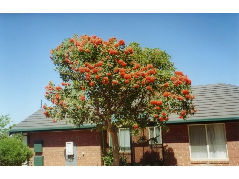 20 Peppermint Grove, Noarlunga Downs SA 5168