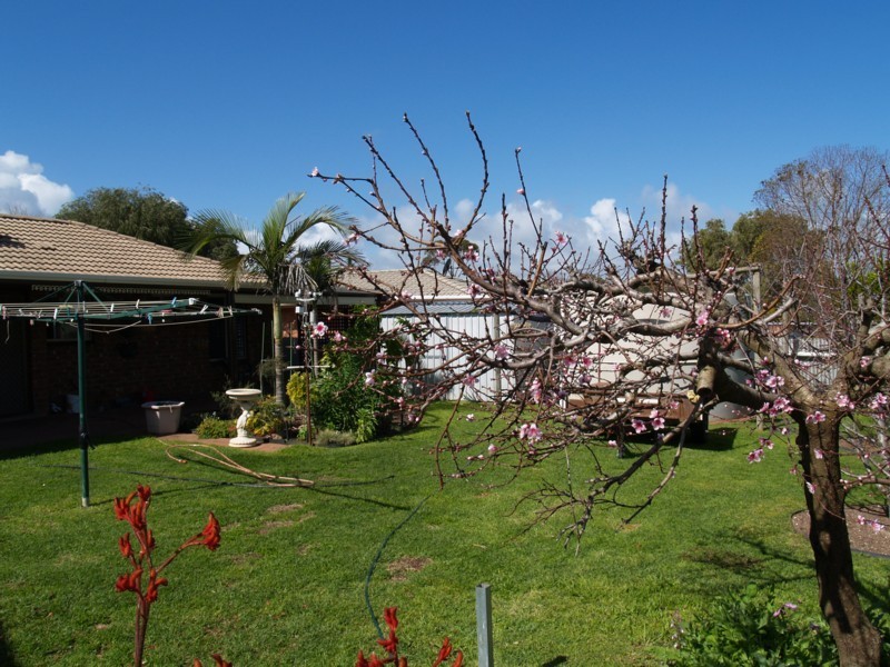 12 Kingfisher Road, Noarlunga Downs SA 5168