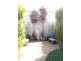 15 Platform Avenue, Sheidow Park SA 5158