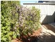 15 Platform Avenue, Sheidow Park SA 5158