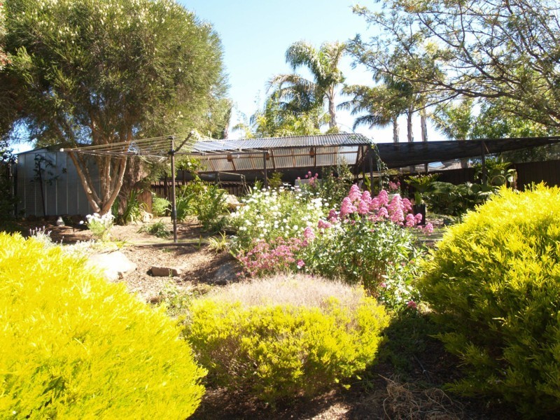19 McIlwaine Crescent, Noarlunga Downs SA 5168