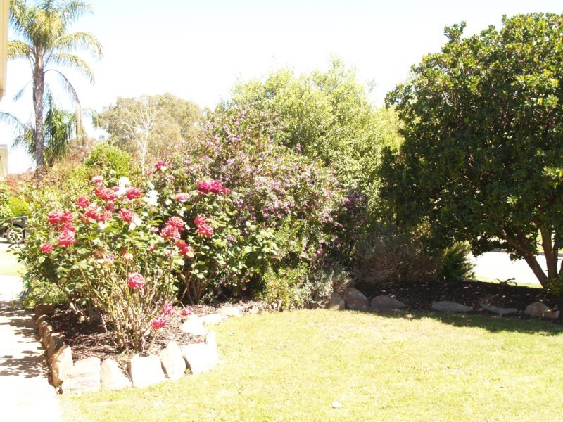 16 Matthew Street, Happy Valley SA 5159