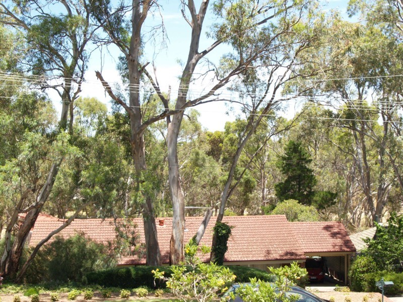 13 Swan Avenue, Happy Valley SA 5159