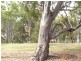 36 Barrdickson Crescent, Happy Valley SA 5159