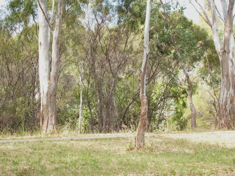 36 Barrdickson Crescent, Happy Valley SA 5159