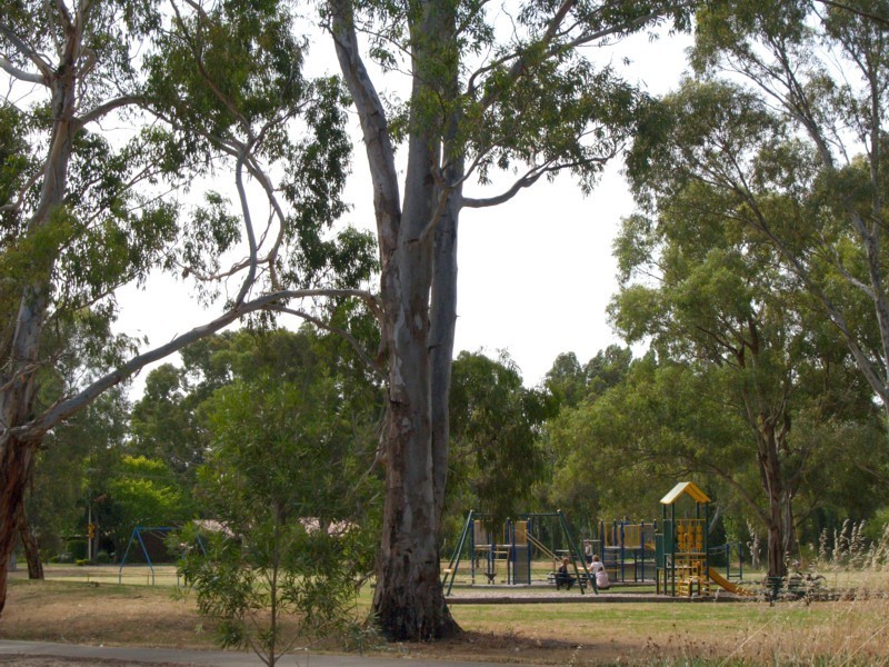 36 Barrdickson Crescent, Happy Valley SA 5159