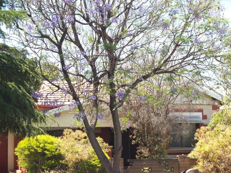 439 Goodwood Road, Westbourne Park SA 5041