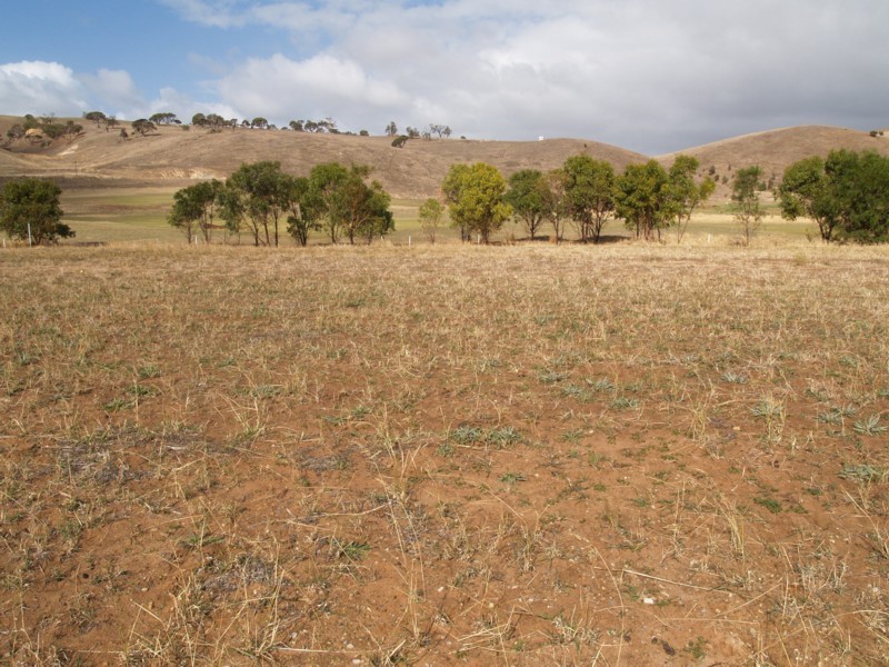 Lot 45 and 46 Sorrento Circuit, Normanville SA 5204
