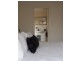 1/45 Pimpala Road, Old Reynella SA 5161