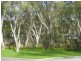 Site 132 Woodcroft Park, Woodcroft SA 5162