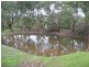 Lot 113 Williams Road, Currency Creek SA 5214