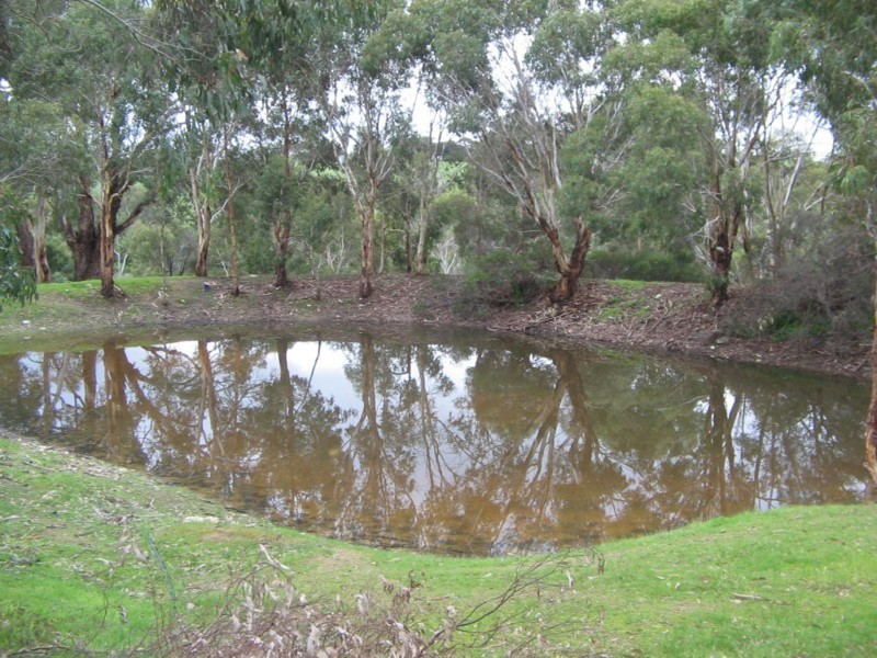 Lot 113 Williams Road, Currency Creek SA 5214