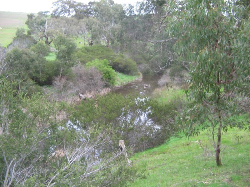 Lot 113 Williams Road, Currency Creek SA 5214