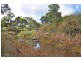 Lot 113 Williams Road, Currency Creek SA 5214