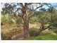 Lot 113 Williams Road, Currency Creek SA 5214