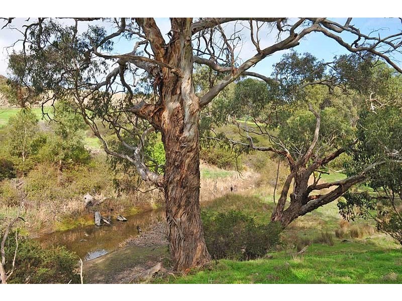 Lot 113 Williams Road, Currency Creek SA 5214
