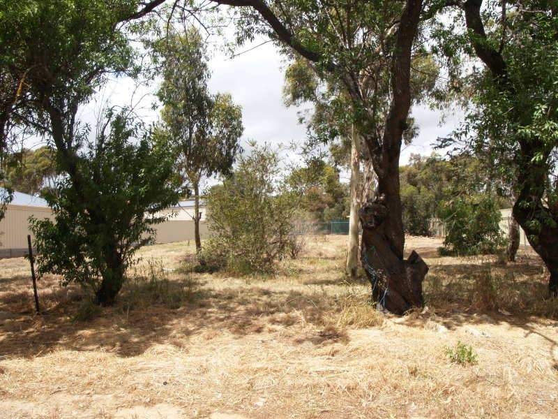 53 Methodist Street, Willunga SA 5172