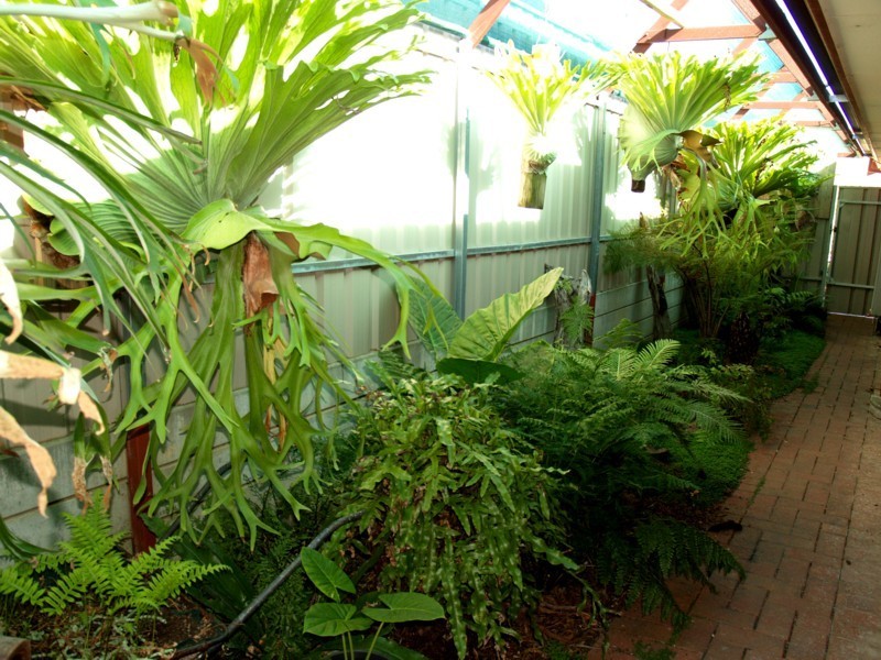 36 Nyrang Circuit, Woodcroft SA 5162