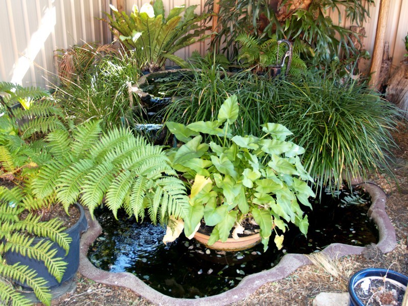 36 Nyrang Circuit, Woodcroft SA 5162