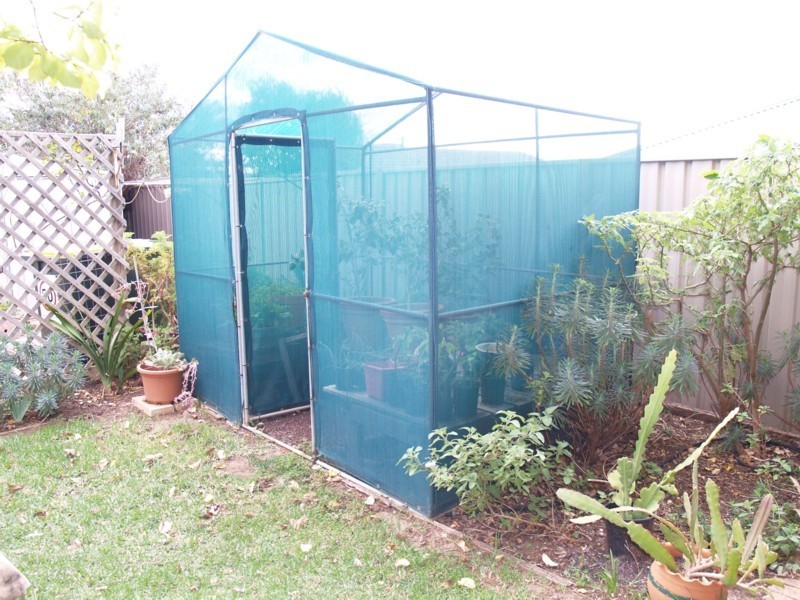 23 Jacqueline Avenue, Woodcroft SA 5162