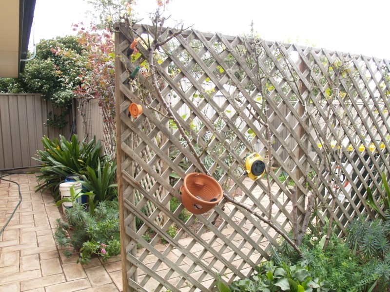 23 Jacqueline Avenue, Woodcroft SA 5162