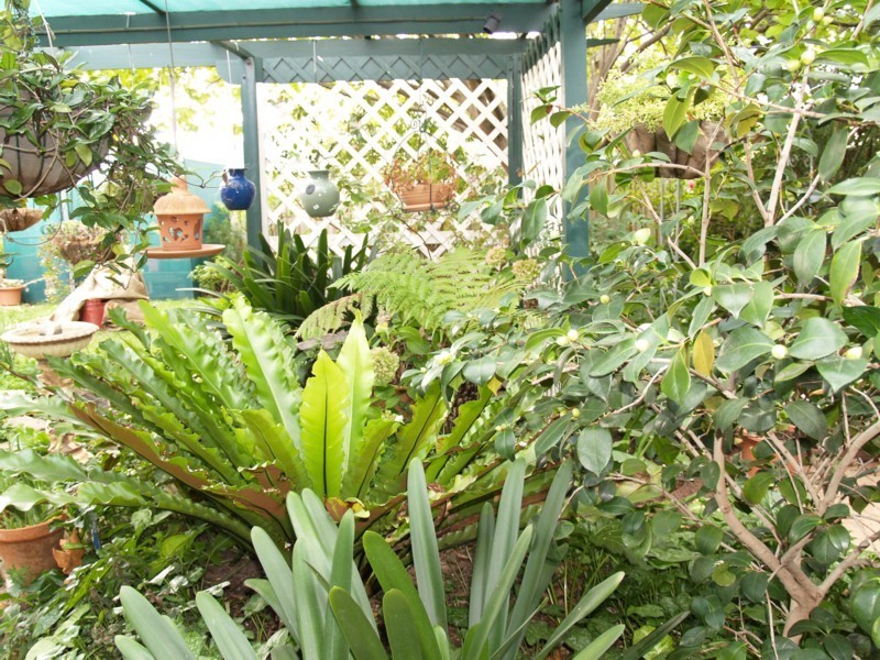 23 Jacqueline Avenue, Woodcroft SA 5162