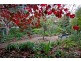 16 Gulfview Drive, Chandlers Hill SA 5159