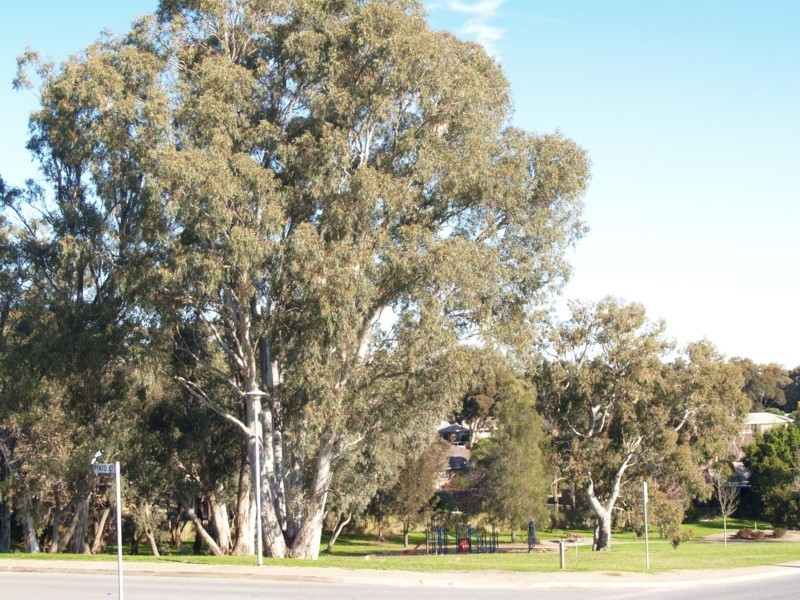 19 Equestrian Drive, Woodcroft SA 5162