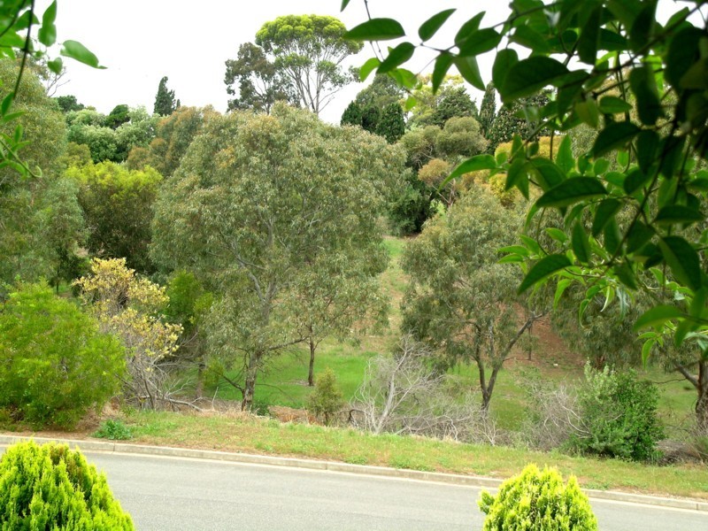 28 Matthew Street, O’halloran Hill SA 5158