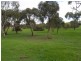 5/222 Pimpala Road, Woodcroft SA 5162