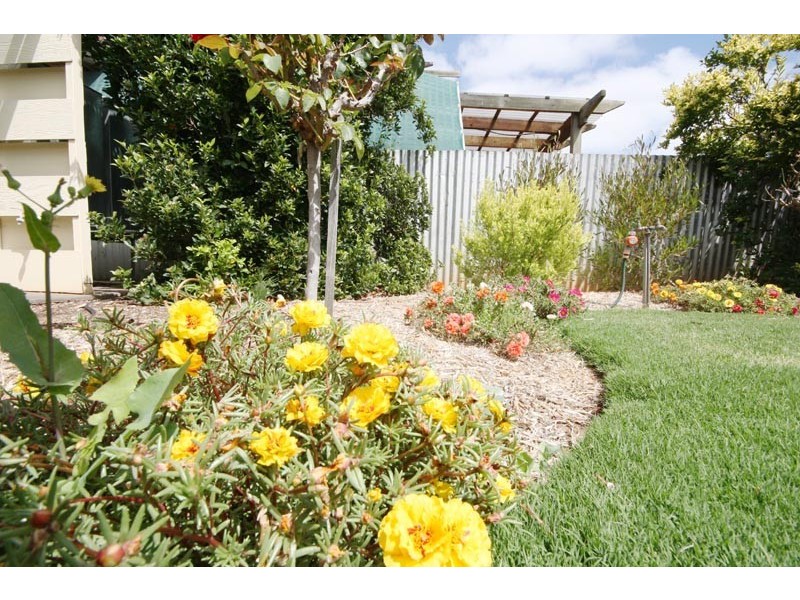 37 Oliphant Avenue, Marion SA 5043