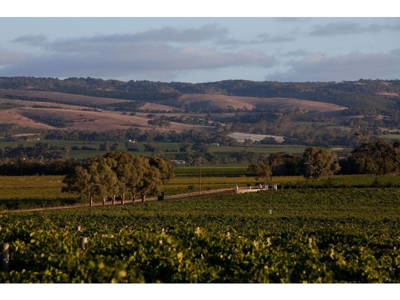 9 Grapevine Lane, Mclaren Vale SA 5171