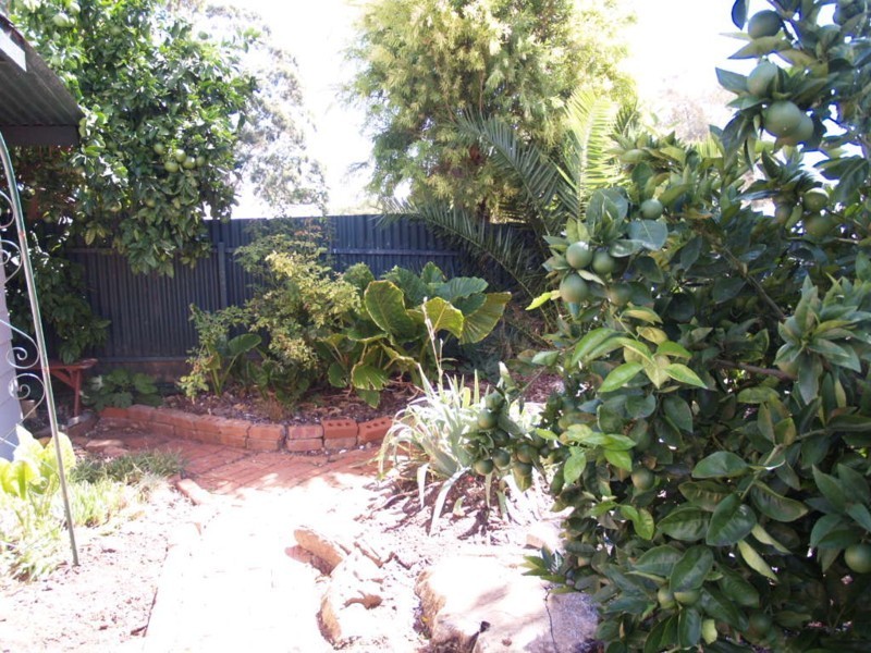 5 Vintners Walk, Hackham West SA 5163