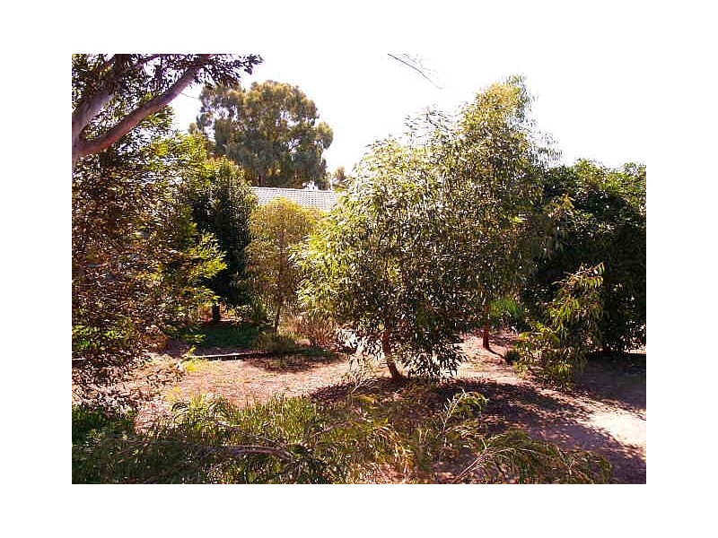 259 O’Sullivan Beach Road, Morphett Vale SA 5162