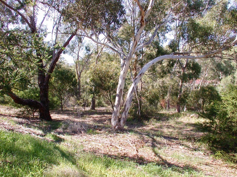 35 Timothy Road, Morphett Vale SA 5162