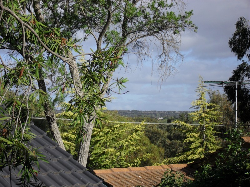 35 Timothy Road, Morphett Vale SA 5162