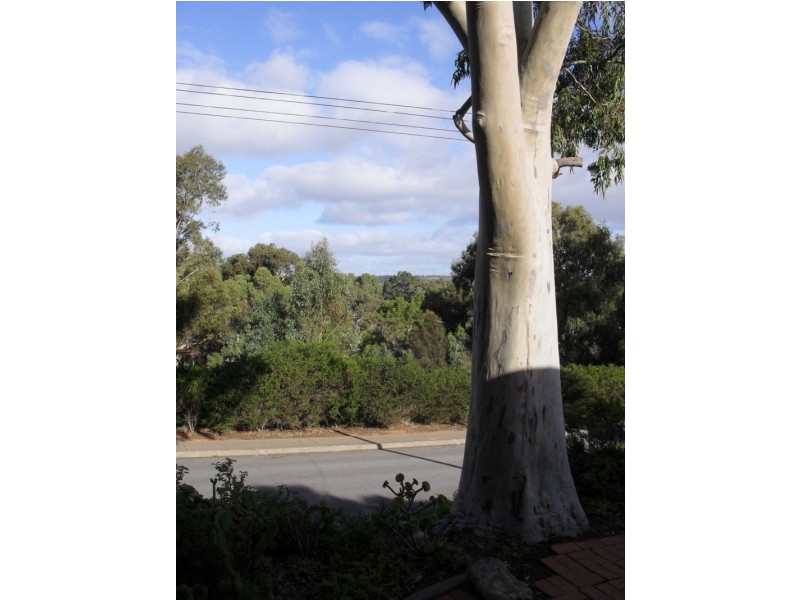 35 Timothy Road, Morphett Vale SA 5162