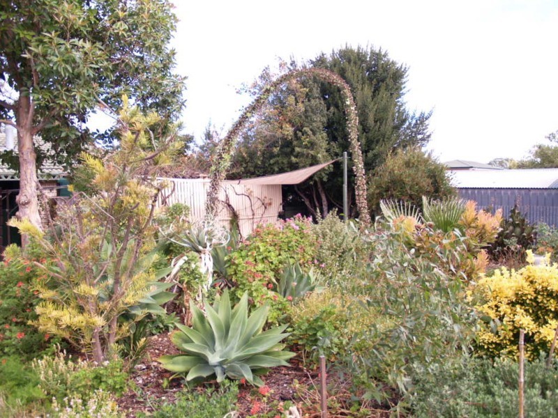 123 Elizabeth Road, Morphett Vale SA 5162