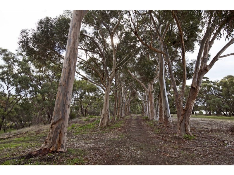 9a Hollyoaks Court (Horndale Estate), Happy Valley SA 5159