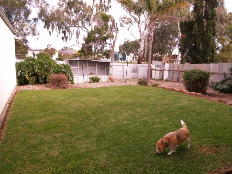 4 Kurrajong Place, Seacombe Gardens SA 5047