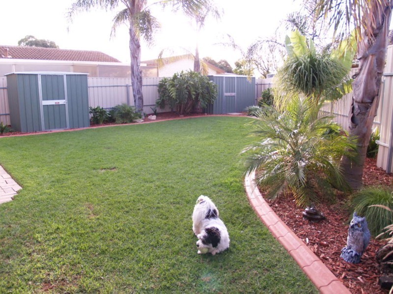 19 Booth Avenue, Morphett Vale SA 5162