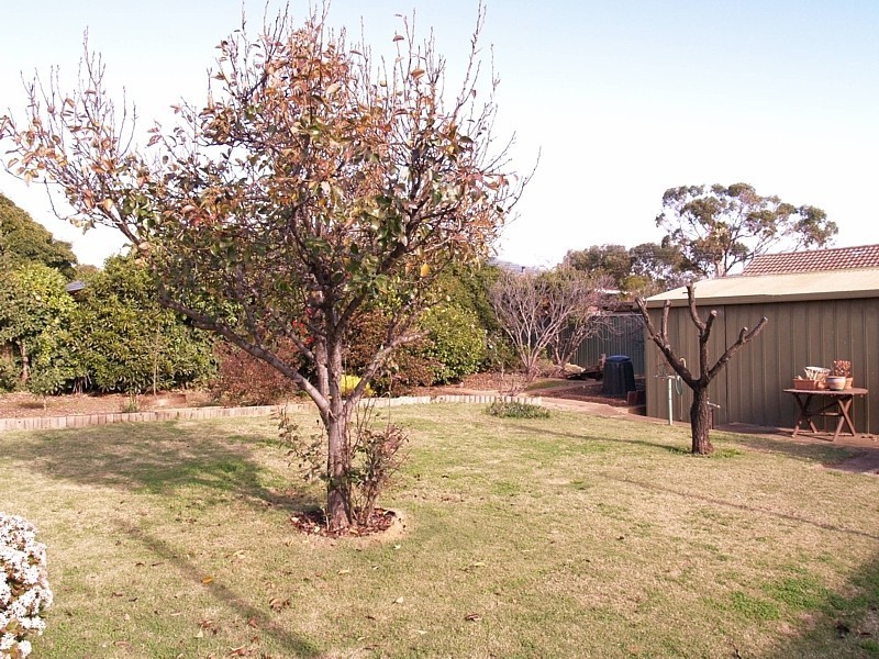 24 Ackland Avenue, Christies Beach SA 5165