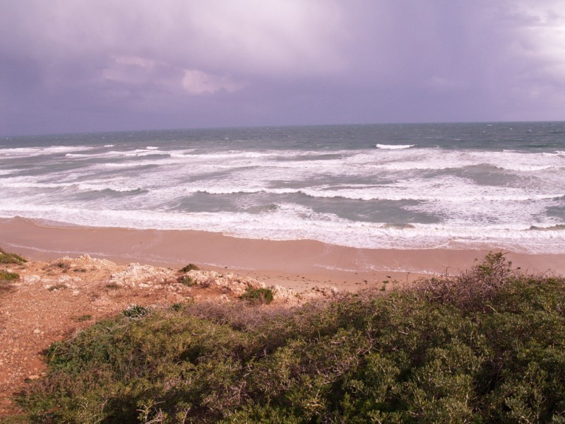 4 Surf Street, Seaford SA 5169