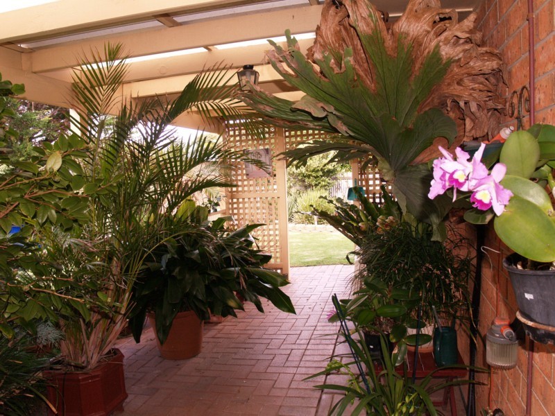 4 Surf Street, Seaford SA 5169