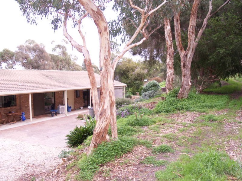 175 Bagshaws Road, Mclaren Flat SA 5171