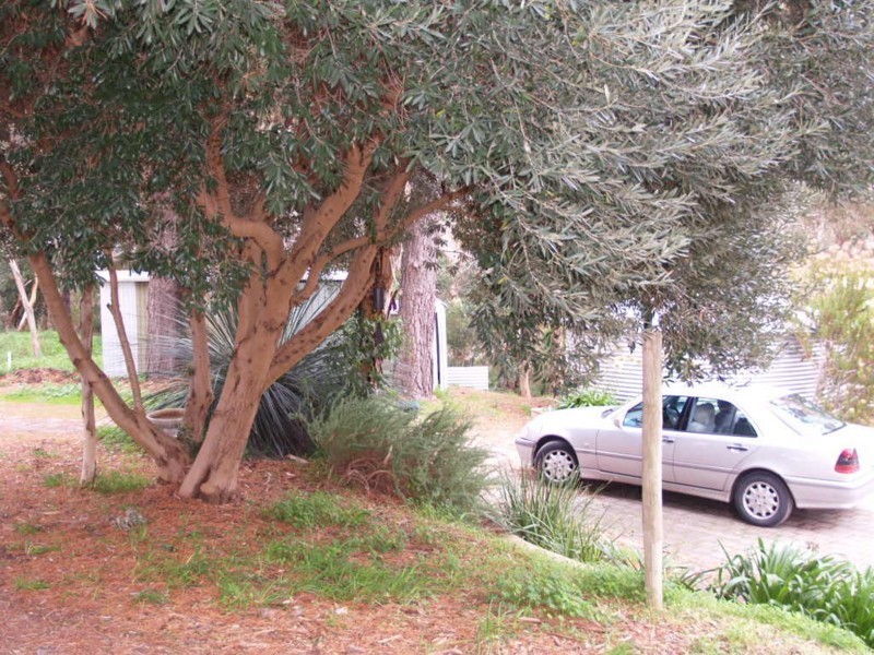 175 Bagshaws Road, Mclaren Flat SA 5171