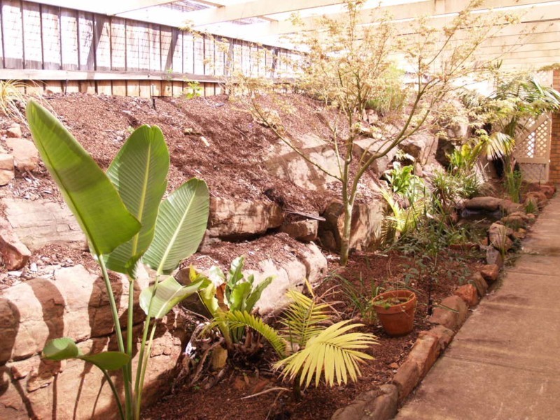 86 Glendale Avenue, Flagstaff Hill SA 5159