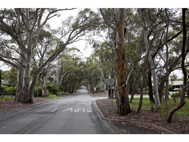 14 Caspian Court (Woodcroft Farm), Woodcroft SA 5162