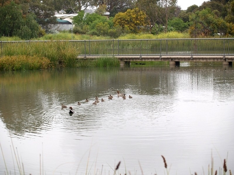 27 Madeira Drive, Morphett Vale SA 5162