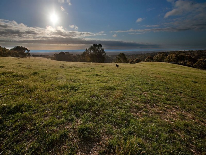 64 Nash Road, Onkaparinga Hills SA 5163